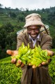 Kenyan tea farmer.jpg