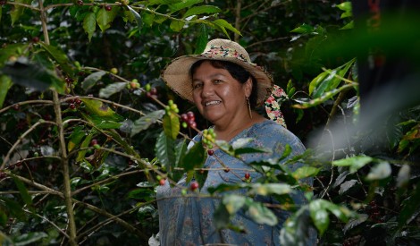 Sandra Romo is a member of a cooperative belonging to FAPECAFES.