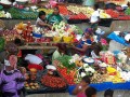 The Cocovico market